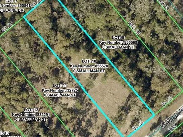 Smallman St Lot 10, Webster, FL 33597