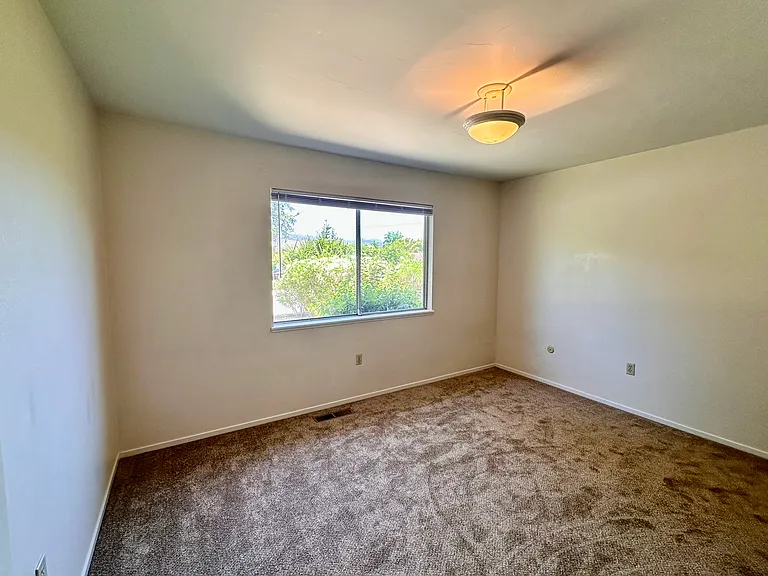 1815 Park St — Photo 13