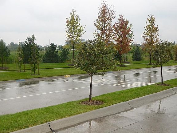 4th image of 1508 S 128th Avenue Cir