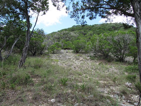 4th image of PR 1733 Lot 111
