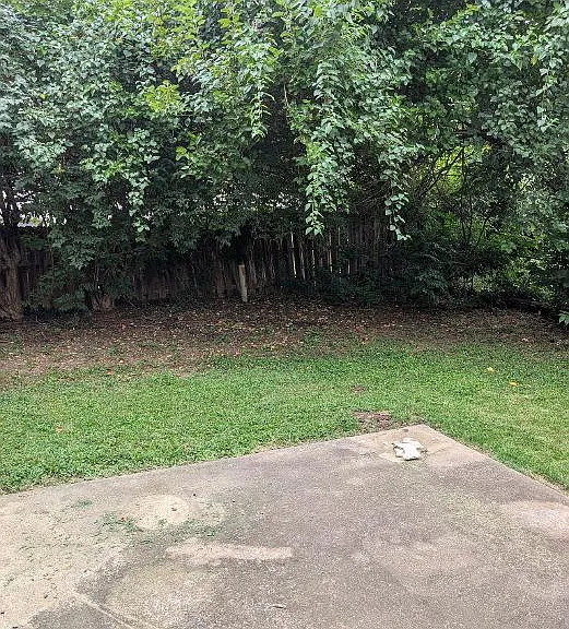 9204 Central St — Photo 16