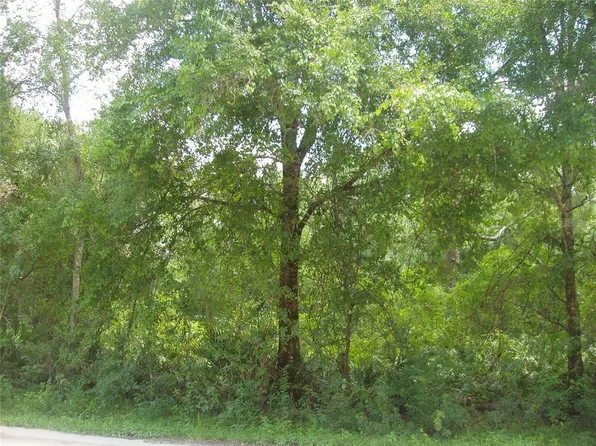 Creek Rd, Wesley Chapel, FL 33543