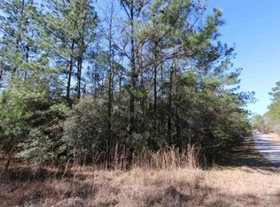 15 Parkside Loop, Brookeland, TX 75931