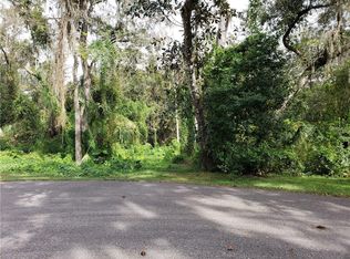 3517 McIntosh Oaks Ct, Dover, FL 33527