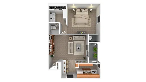 Floor plan 1x1 Renovated