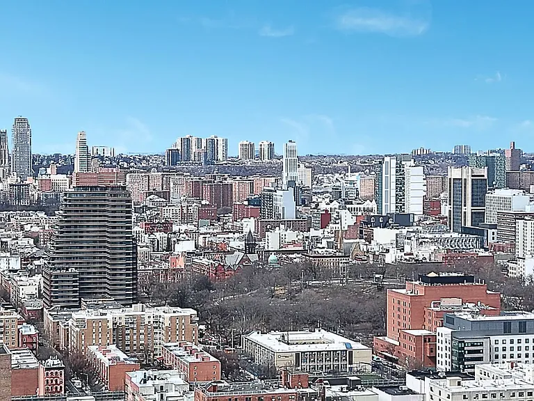 317 E 119th St #PENTHOUSE — Photo 9