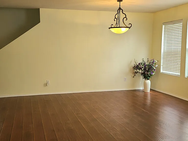 8426 Silver Brush — Photo 2