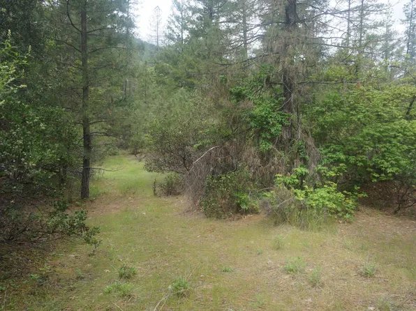 6269 Dutch Creek Rd, Junction City, CA 96048