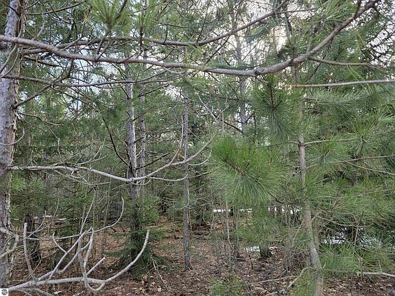 2nd image of 1 Cedar River Rd