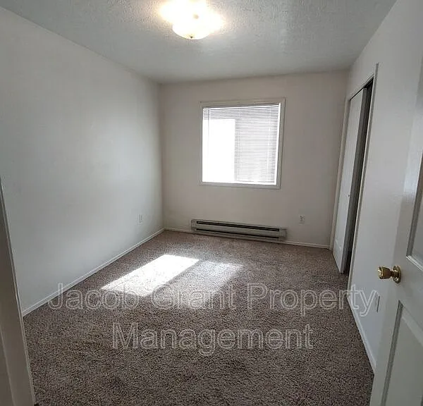 385 Golden St #2 — Photo 8