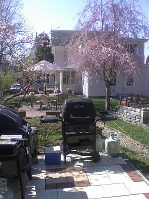 Back yard