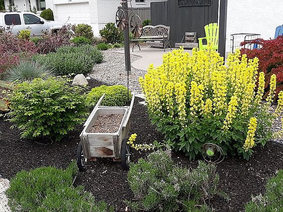 Front Garden