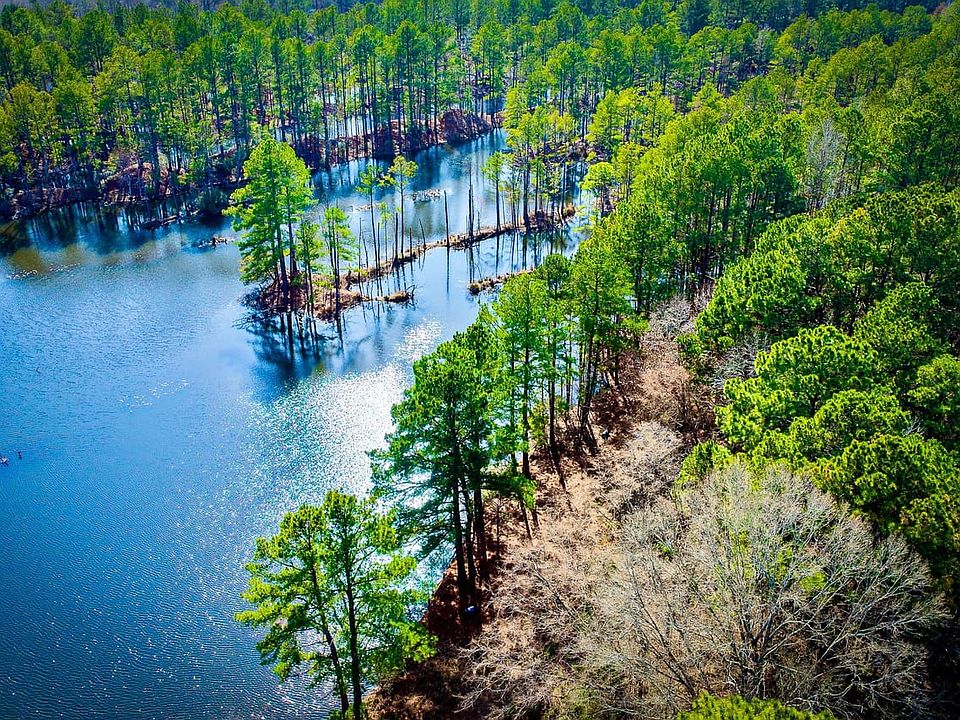 Dji Fly 20260219 142508 0694 1771555697907 Photo