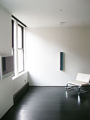 3rd image of 111 Hudson St APT 3A