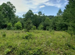 Byllesby Rd, Ivanhoe, VA 24350