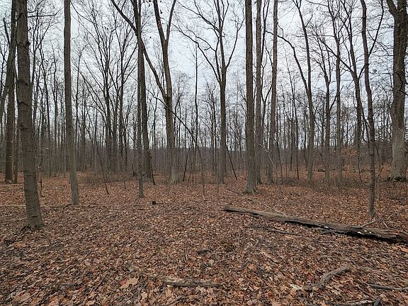 5th image of Thwing Rd Lot Wp001