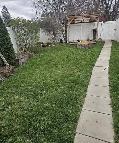 8 Elger St — Photo 20
