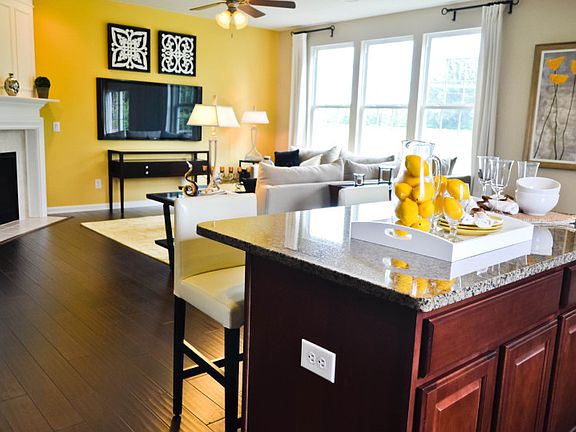 Model Representation