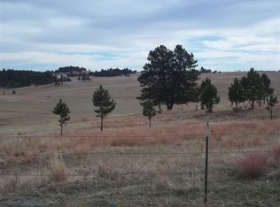 Stage Coach Springs Rd, Custer, SD 57730
