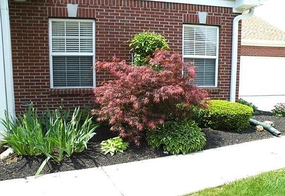 4th image of 5091 Dunewood Way
