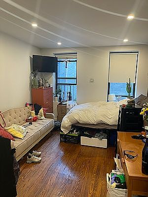 2nd image of 203 Chrystie St #3C3