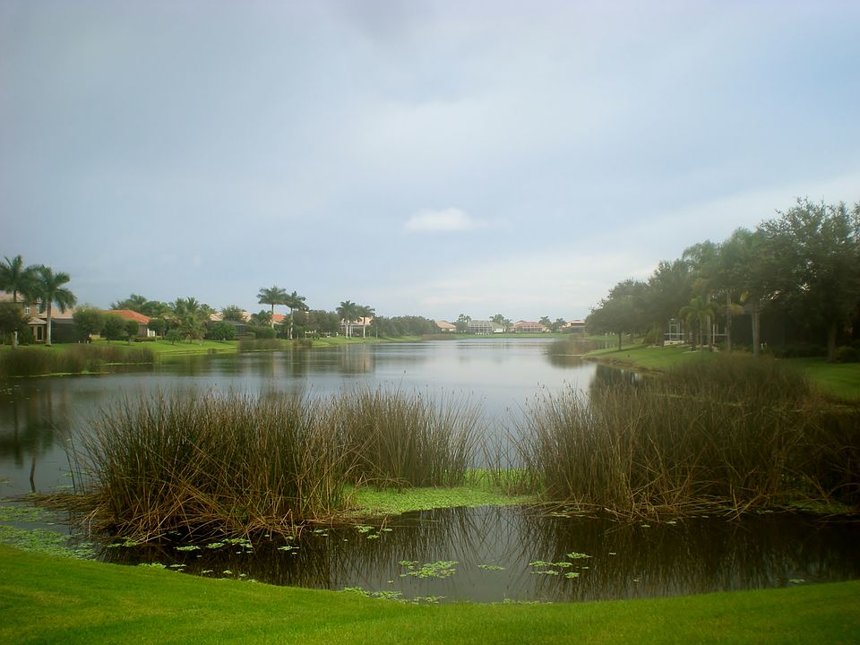 Beautiful lake views!