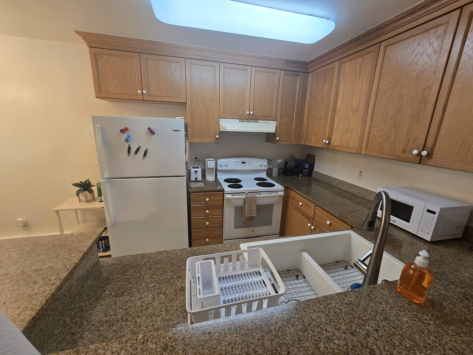 1 bed, 640 sqft, $1,800 — Photo 3