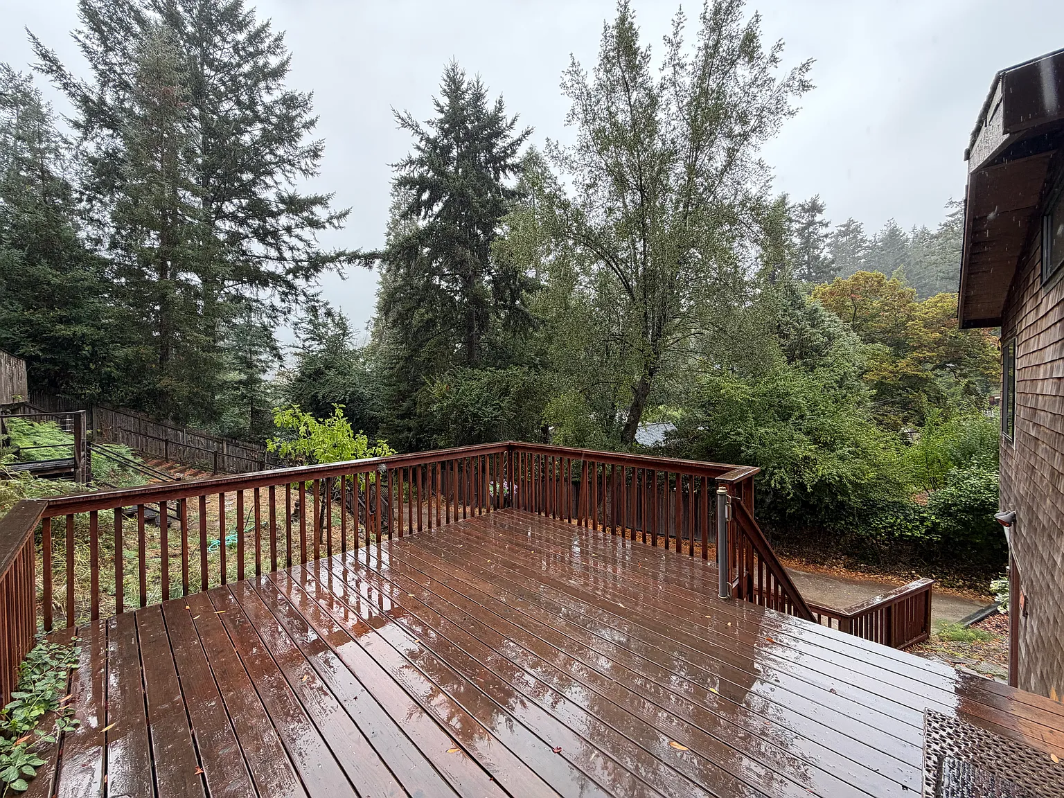 1 bed, 642 sqft, $3,600 — Photo 4
