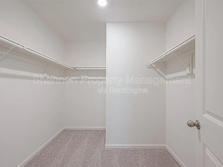 3993 Fringe Tree Ln — Photo 19