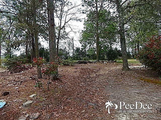 2nd image of 1233 Swinney Dr