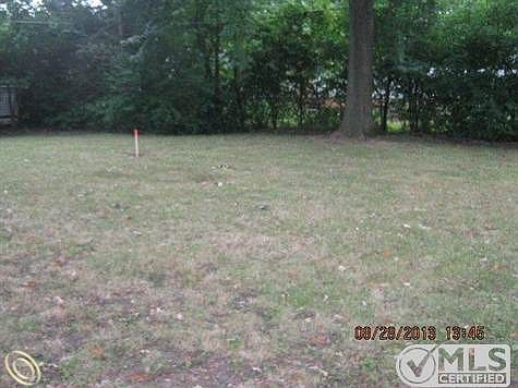 back yard.jpg