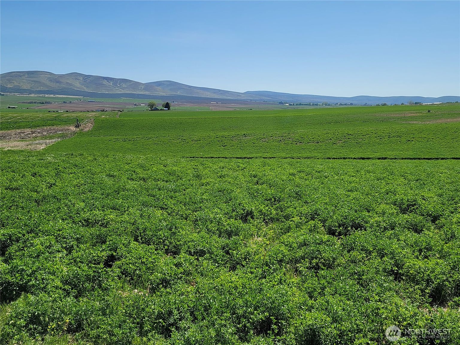 1612 Katen Road, Ellensburg WA - Owner Finance Home