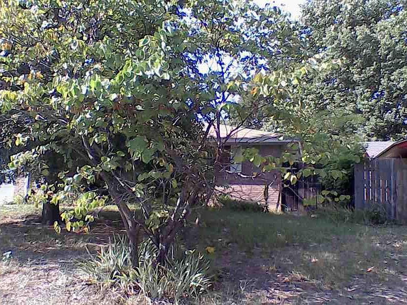1st image of 7625 NW 15th St