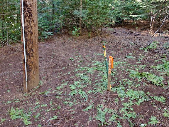 5th image of 1810 Love Creek Rd #Adj