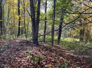 Modock Northeast Rd, Trade, TN 37691