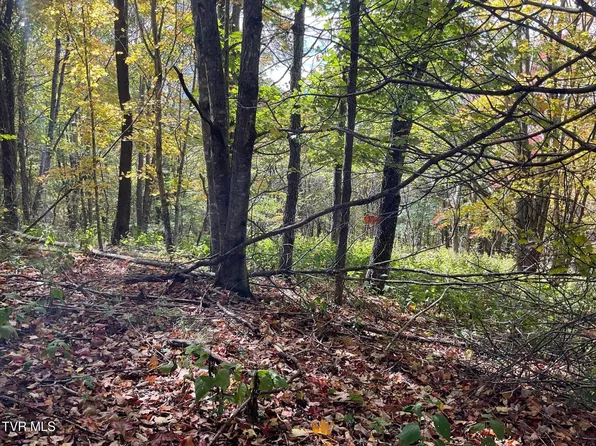 Modock Northeast Rd, Trade, TN 37691