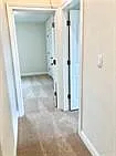 1108 Laceflower Ln — Photo 21