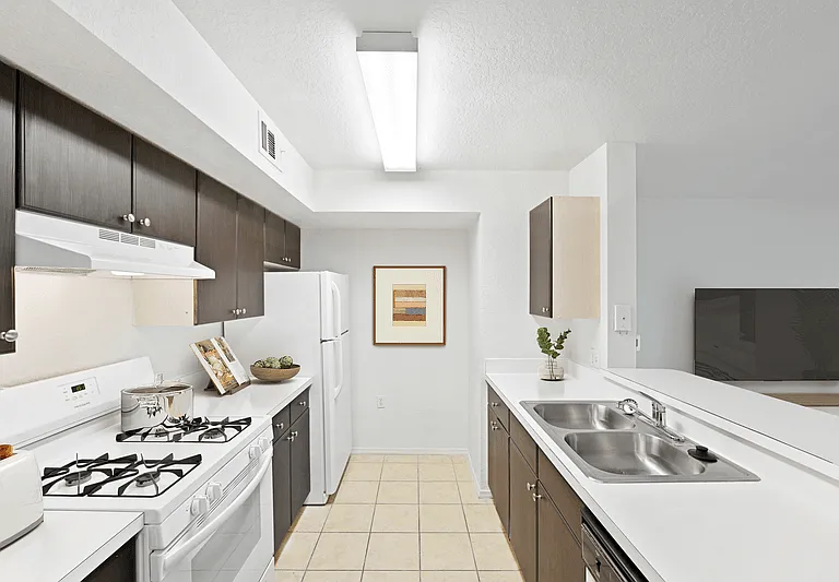 Magnolia Pointe Apartments — Photo 17