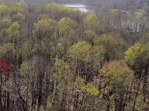 3 Kentucky Springs Rd, Bumpass, VA 23024