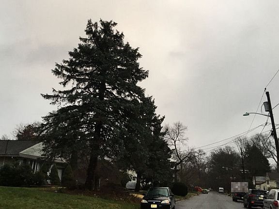 5th image of 139 Oakmoor Ave