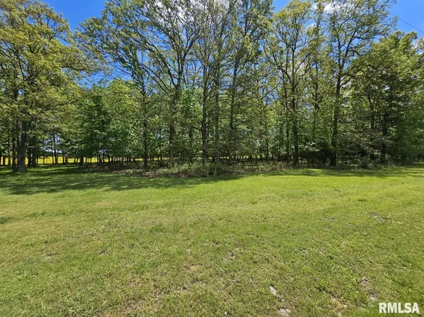 LOT 2 N Wildwood Pl, Dix, IL 62830