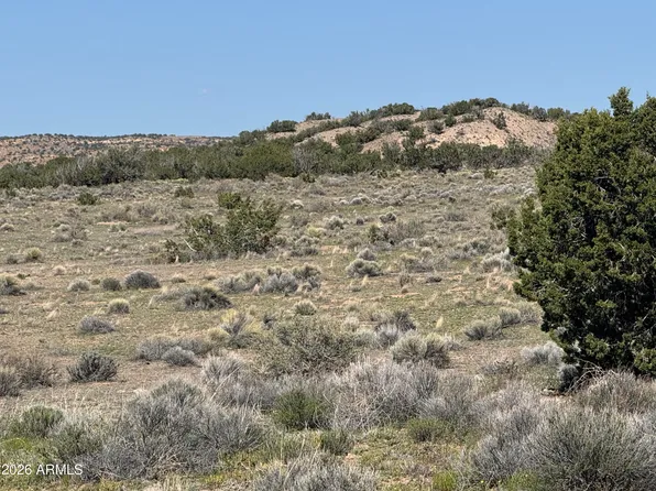Lot 531 Woodland Valley Ranch -- #531, St Johns, AZ 85936