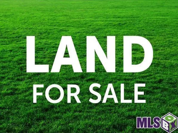 23441 State Highway 42, Livingston, LA 70754