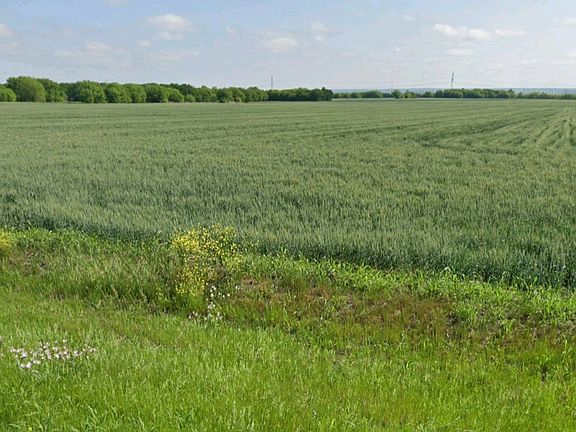 2nd image of 3632 County Road 619
