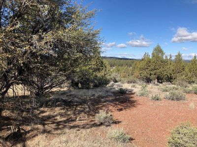 Canvasback Dr LOT 1200, Bonanza, OR, 97623