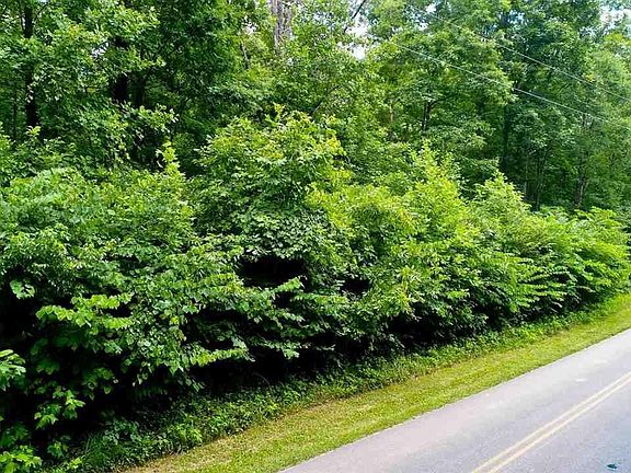 3rd image of 18 Sierra Rd Lot 18