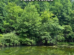 9893 W Webster Rd, Summersville, WV 26651