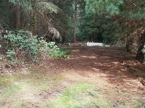 Driveway to old shed site near back.. 