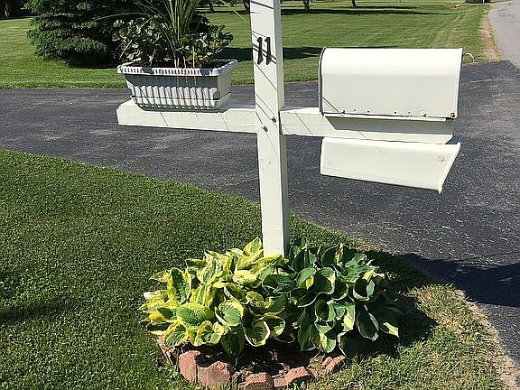 3rd image of 11 Old Farm Cir