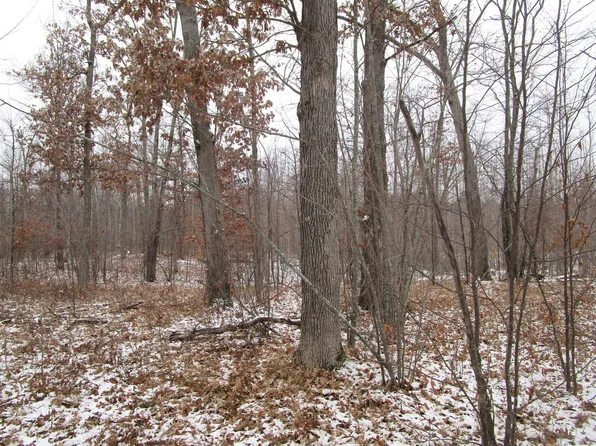LOT 7 Winter Hill Trl, Danbury, WI 54830